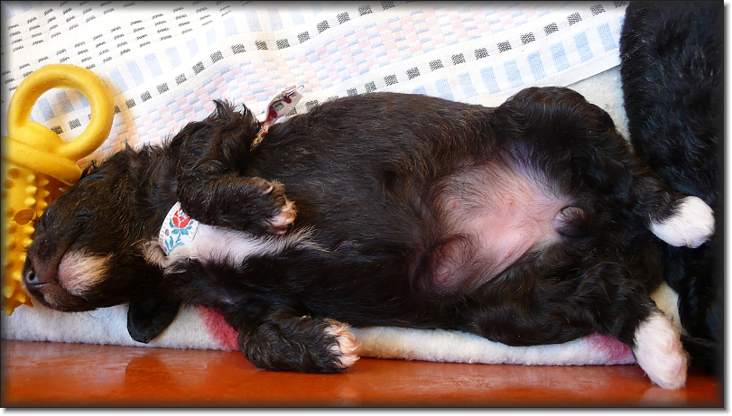 Jste na posledním snímku